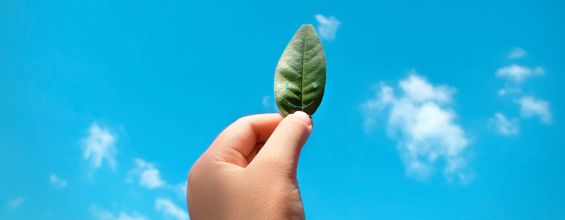 DUBZ Flight home checkin, baggage delivery services